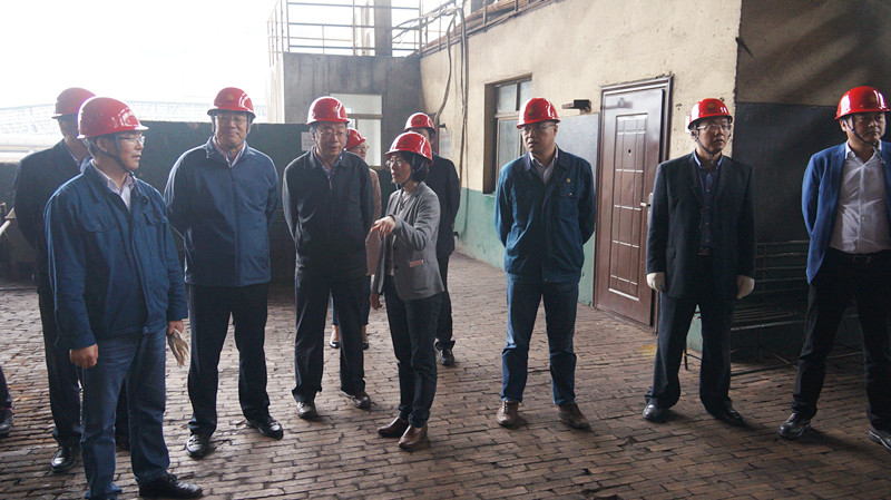 国家钢铁行业转型升级调研组来淮钢调研考察